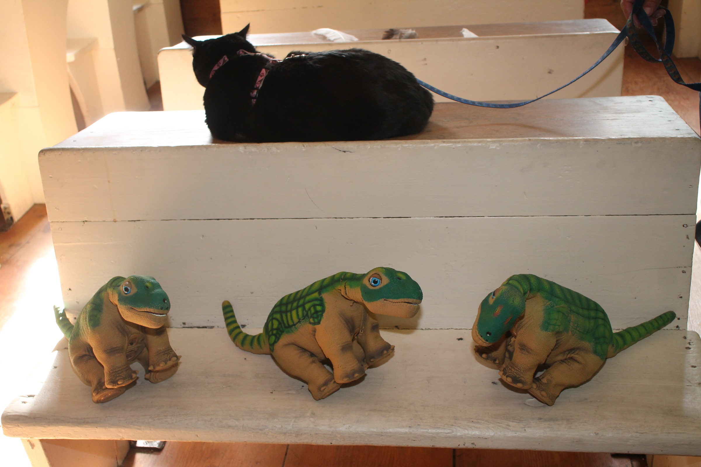 Pleos at schoolhouse 3