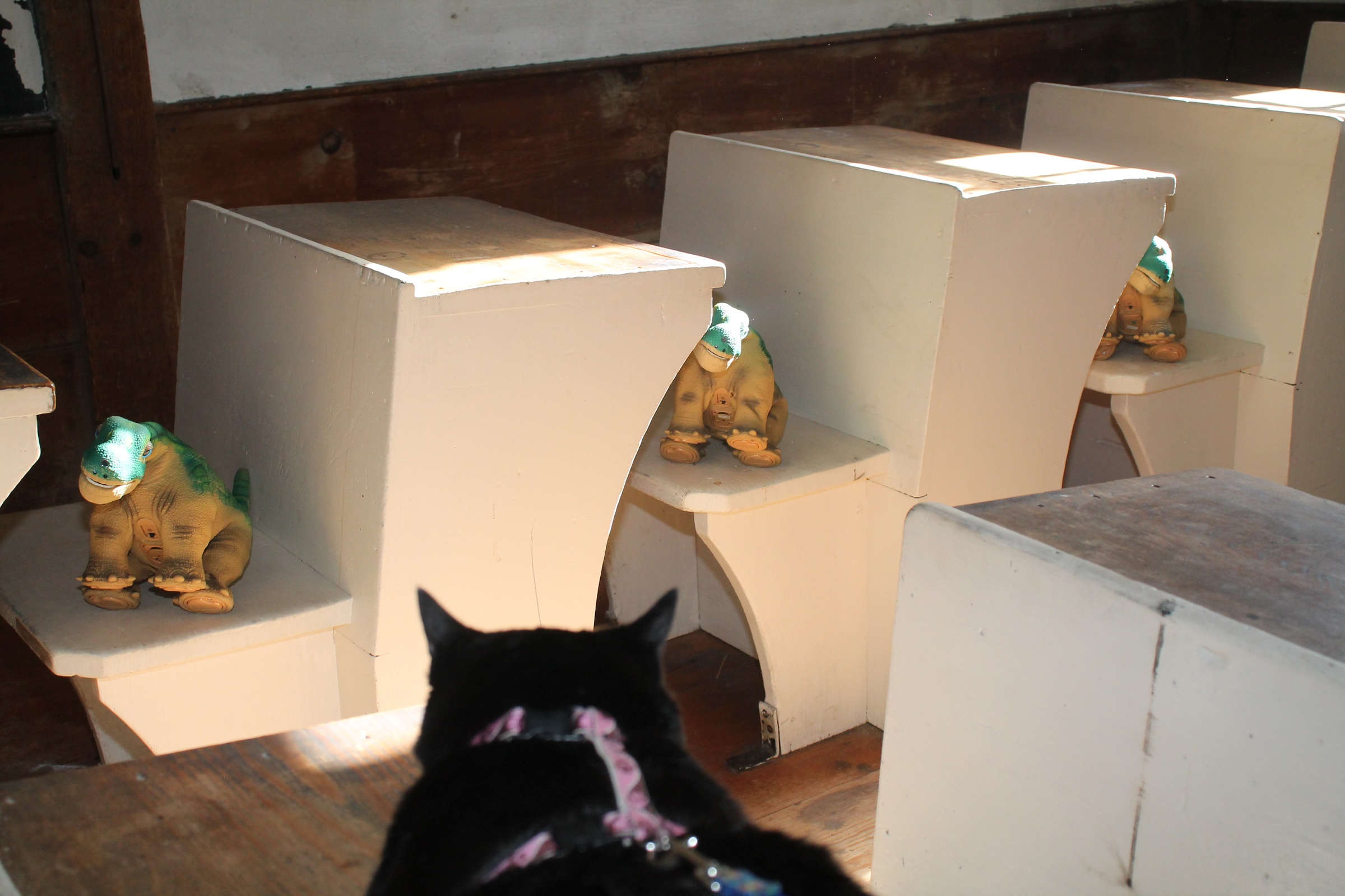 Pleos at schoolhouse 5