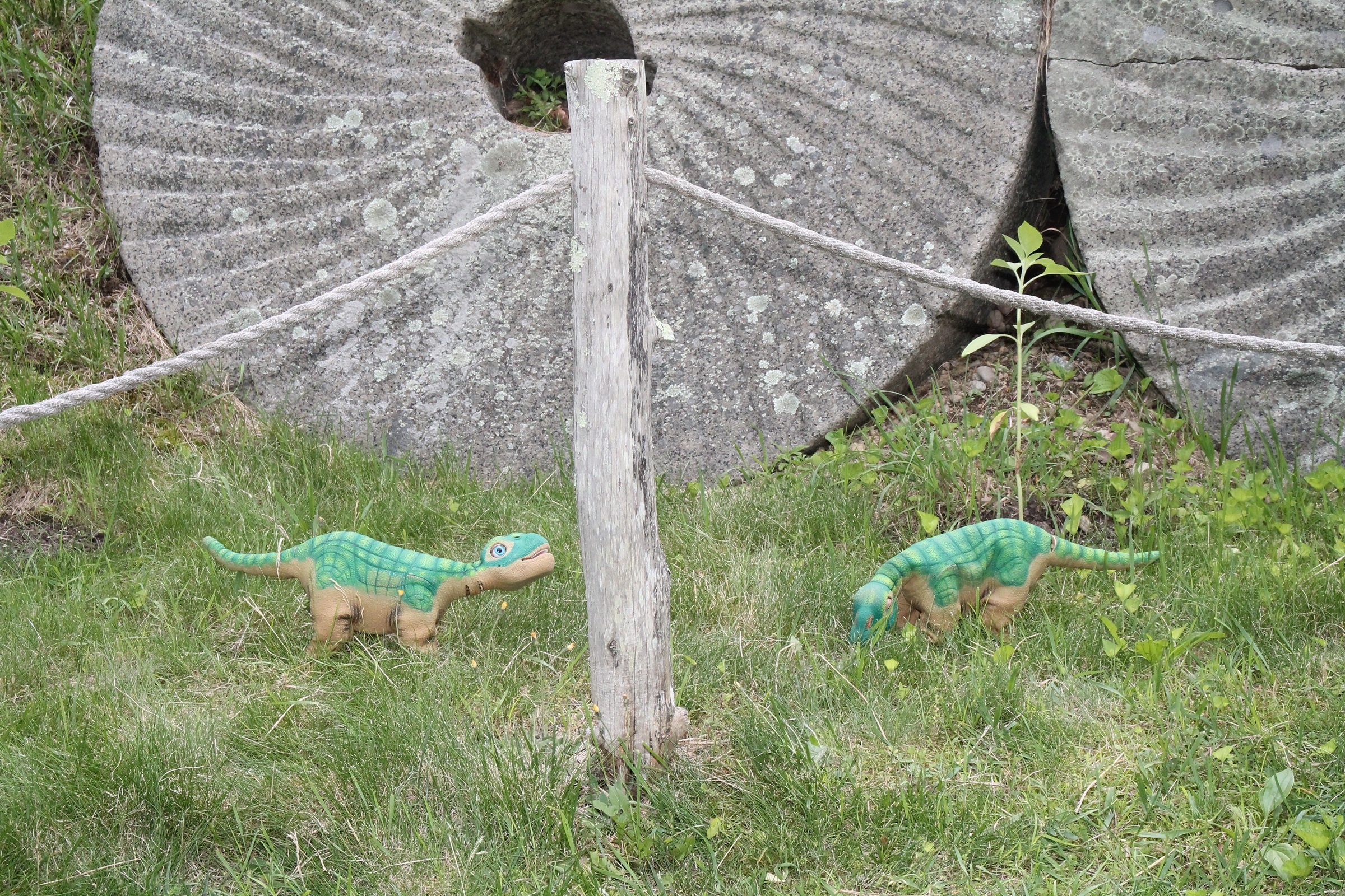 Pleos and millstones 2