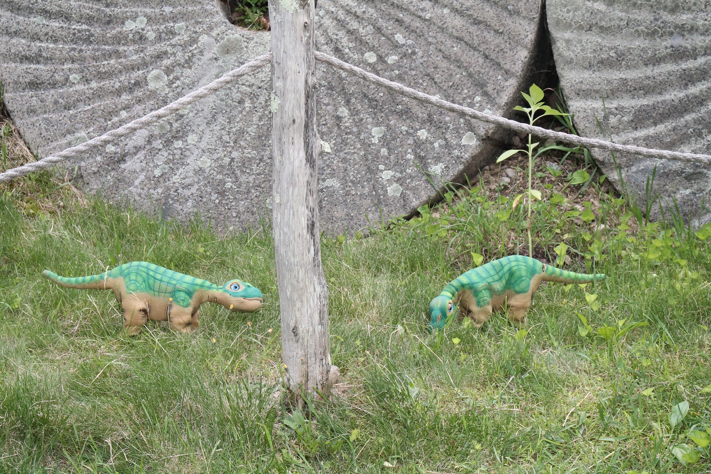 Pleos and millstones 3