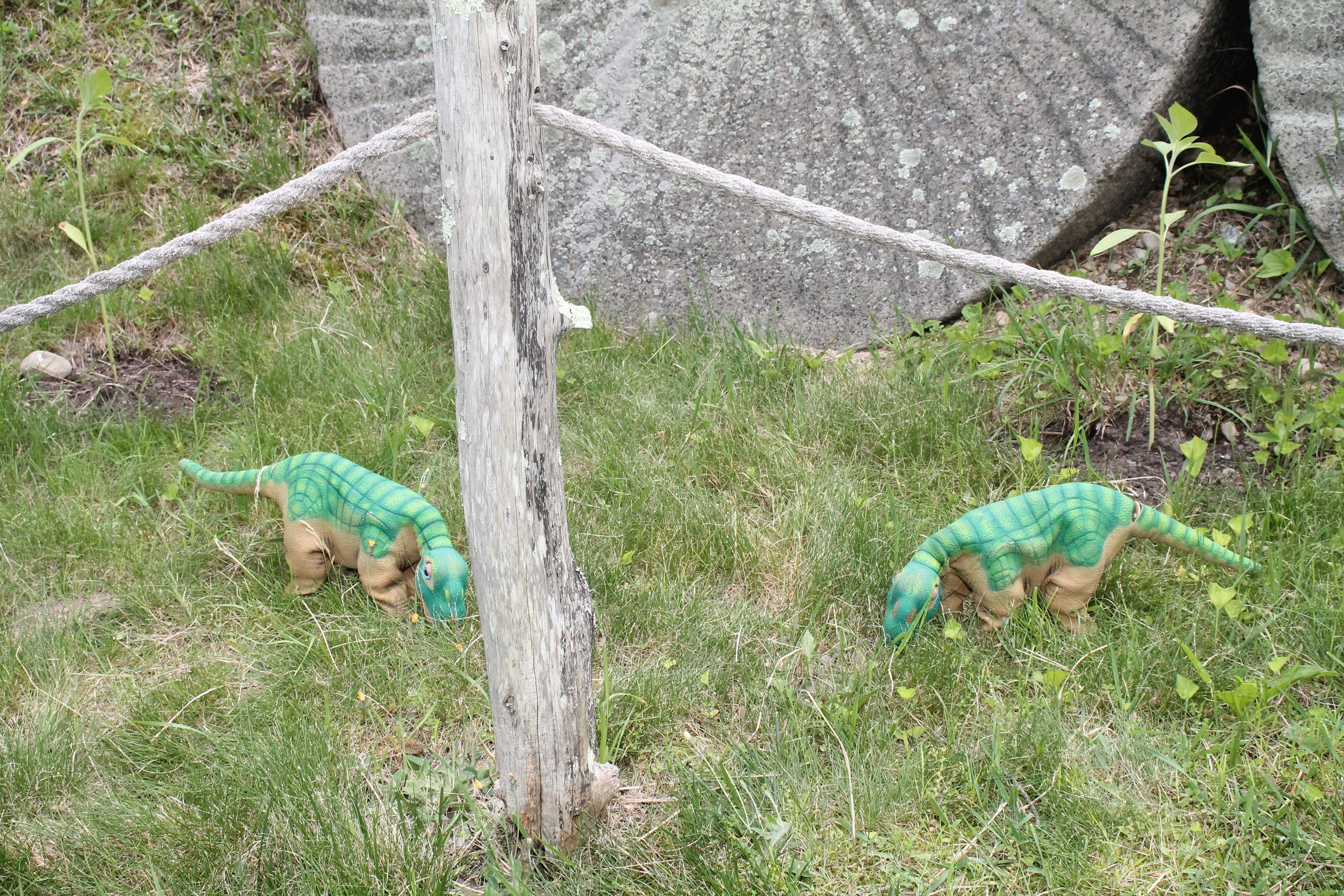 Pleos and millstones 5