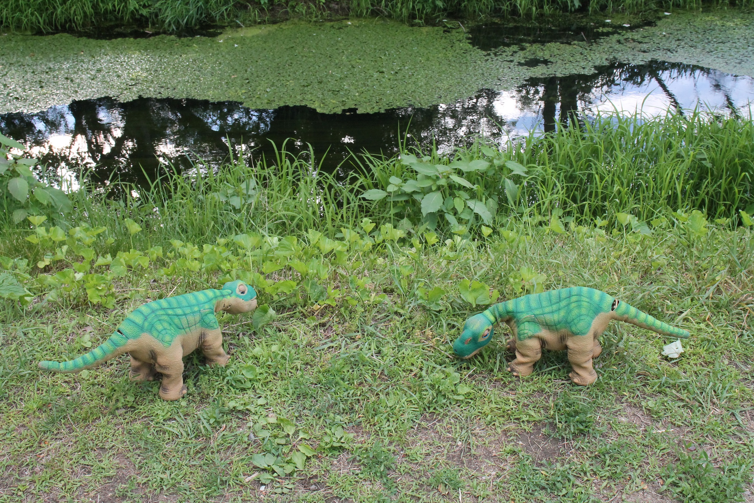 Cammey and Cloey by a stream 1